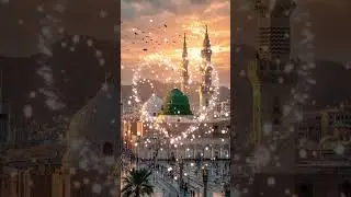 #allahuakbar #muhammadﷺ #haniyahafeezrana #pakistan #canada #usa #saudiarabia #goodmorningpakistan