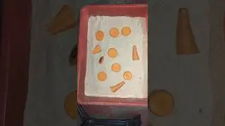 💥😯cleaning my Superworms tray📥#telugu#trending #viral#fishkeeping#fishhobbyist #bettafish#superworms