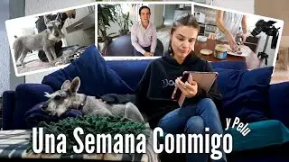 Una semana conmigo y Pelu 💕🐶🪴