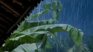 PEACEFUL RAIN SOUNDS TO RELAX YOUR MIND AND SLEEP DEEPLY