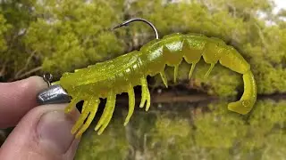 a very simple method that ALWAYS catches fish! winter fishing up the creeks 🔥