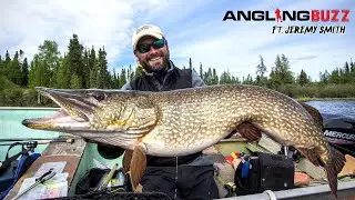 Swimbait Magic &ndash; AnglingBuzz TV