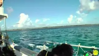 Le Pi&ugrave; Belle Immersioni al Mondo Messico Diving Center Punta Stilo &copy;