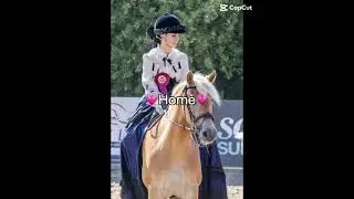 Home #foryou #capcut #equestrian #horse #haflinger #equestrianlife