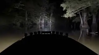 Weldbilt 1448v Mercury 15hp night time creek cruise