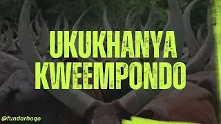 ISIQENDU 10 - IZACI NAMAQHALO - UKUKHANYA KWEEMPONDO