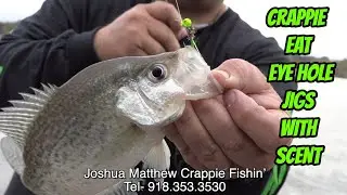 DO CRAPPIE LIKE EYE HOLE JIGS WITH SCENT?- Scented jigs for crappie.
