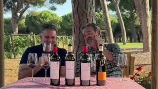 🍷LOS TESOROS DE FINCA VILLACRECES EN RIBERA DEL DUERO🇪🇸