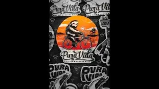 PURA VIDA &ndash; Lo Effut (Live at TheShipInn)