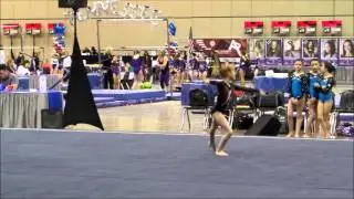 Maddee L4 2016 TN State meet