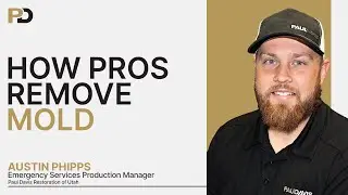 Mold Remediation with Austin Phipps: Costs, Insurance & Drywall Facts