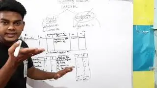 partner's capital and their accounts ( 6 marks )