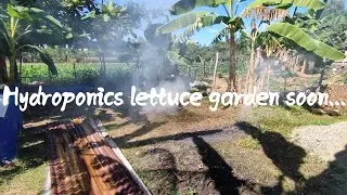 Quick visit @ future Hydroponics fresh lettuce garden(2025.Jan.3)| PURE`s #54