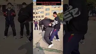 Elbow strike💥🔥.. #shaolin #kungfu #selfdefense #elbowstrike #viralvideo