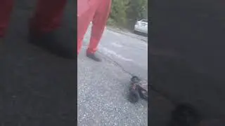 80 mph remote control car