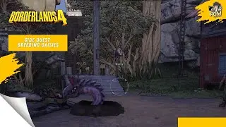 Side Quest Breeding Daisies Game Borderlands 4