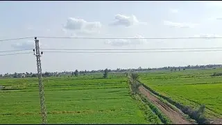 اجتمعو