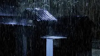 Say Goodbye to Insomnia 🌧️ Heavy Rain & Distant Thunder on an Old Tin Roof in a Foggy Forest Night