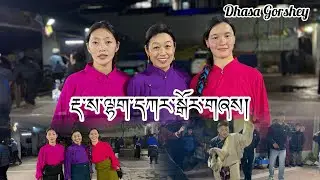 Dhasa Lhakar Gorhsey 2026#tibetangorshey 