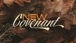 The Book of 2 Peter | Shortest Bible Books Series | Sean McLeod | 11.12.2025