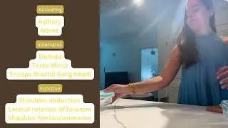 Brachial Plexus Project- recipe