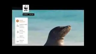Statistics of Extinct and Endangered Species in the Philippines and Worldwide