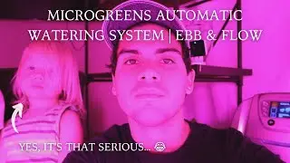 Microgreens Automatic Watering System (Ebb & Flow) Setup | Green Belt Farms 🌱