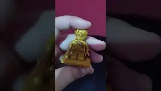 Polyjuice Potion Mistake - Harry Potter Lego Set