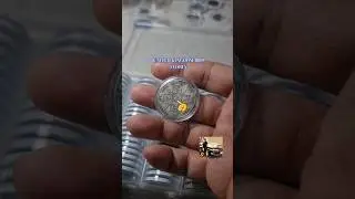 COIN COLLECTING: UNITED KINGDOM 1889 FLORIN #coin #treasuresearch #coinsworthmoney #collection #yt