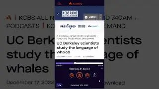 Curious to hear how whales vocalize?I gave an interview for one of the oldest radio stations @KCBS