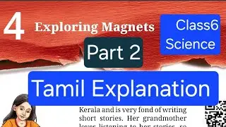 Are Magnets Actually Cool?
