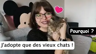 J'adopte des chats âgés en refuge ♥