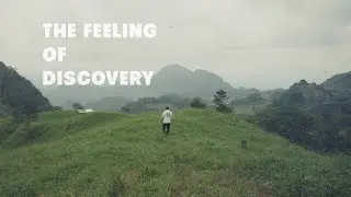 The Feeling of Discovery