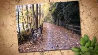 Visit Fayette County PA!