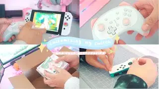 customizing my nintendo switch & cute accessories
