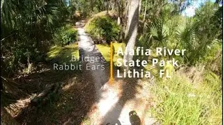 Bridges/Whoops/Rabbit Ears | Alafia River State Park | Lithia Florida