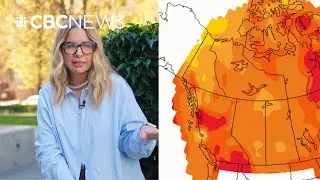 Wildcard summer ahead? Why this forecast is so uncertain