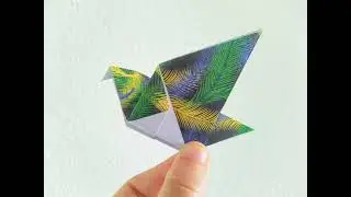How to fold an origami parakeet?