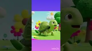 turtle rhymes song
