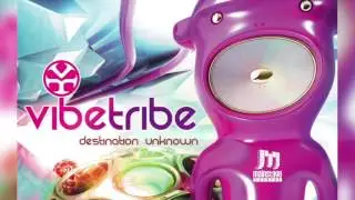 Vibe Tribe & Freedom Fighters - No Limits
