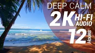 Waves Sounds - Caribbean Beach (2K - Hi-Fi Audio - No Talking)