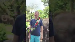 Fun with Sumatran Elephants: Mason Elephant Park -- Bali, Indonesia