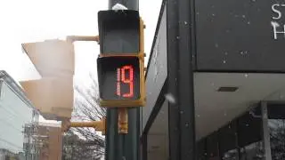 GT1 LED Pedestrian Signal Lenses
