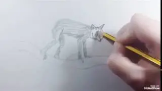 How to draw a Slow loris (speed) - Como dibujar un Loris (r&aacute;pdo)