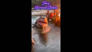 Shark Attack?! Jaws Ride #shortsfeed #shortvideo #shorts #viral #universalstudios #shark #jaws