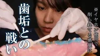 【ASMR】疑似体験!?歯医者来てたっけ!? 歯医者さんロールプレイ あなたの歯垢を除去しますSimulated experience toothpaste Roleplay【36min】