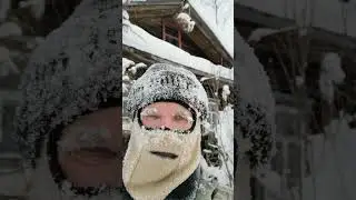 If you really want to, then you can) #forest #winter #dacha