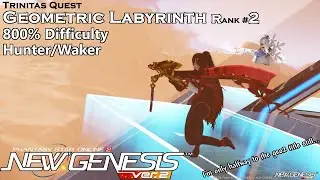 [PSo2:NGS] Geometric Labyrinth Rank #1 Max%  Hunter/Waker