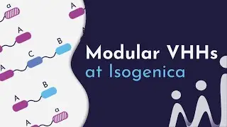 Modular VHHs at Isogenica #vhh #clinicaltrials #antibodyresearch #drugdiscovery