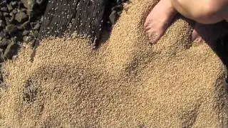 grain spill